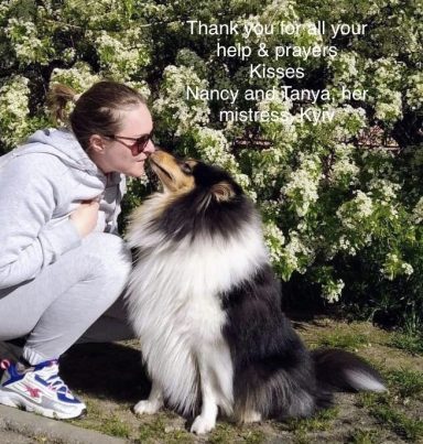 Photo of a Ukrainian Rough Collie kissing their owner